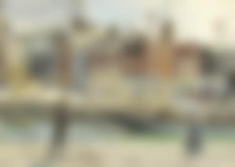 FROM THE CUSTOM HOUSE STEPS, DUBLIN (preview)