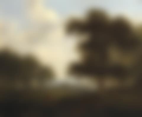 FIGURE ON A PATH, COUNTY WICKLOW (preview)