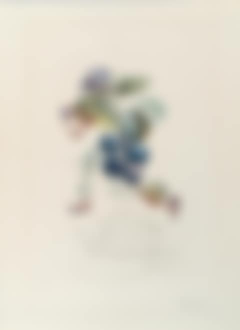 Le prunier hâtif, from FlorDali/Les Fruits (Field 69-11-C) (preview)