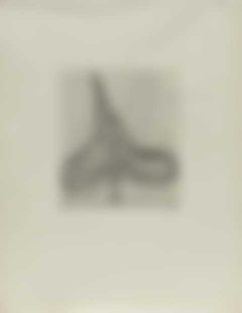 Spade Drypoint, from Five Spades (preview)