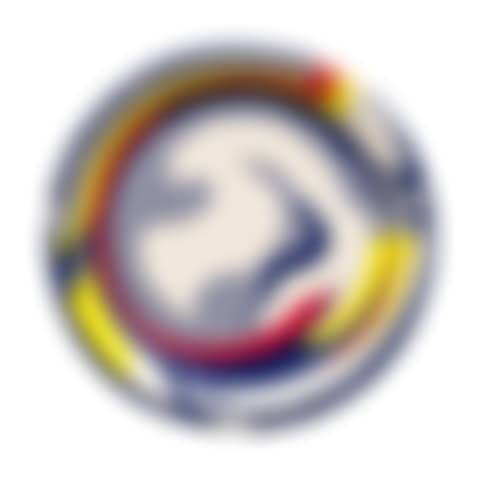 Paper Plate (Corlett III.45) (preview)