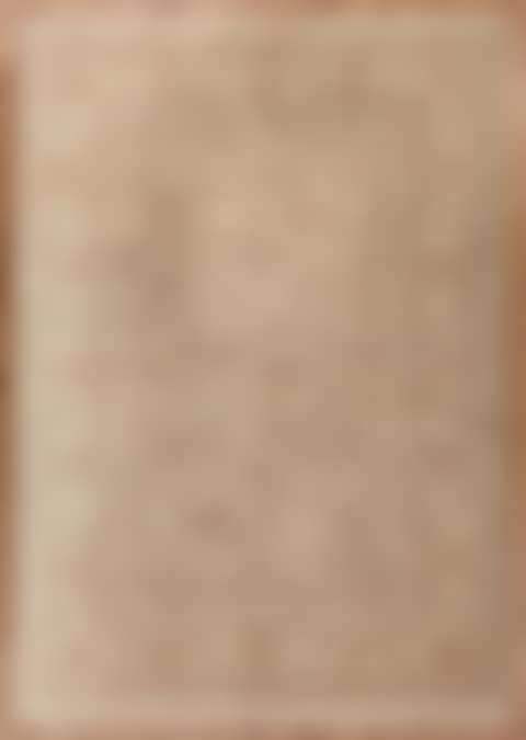 Sultanbad Carpet, cream and olive ground (preview)