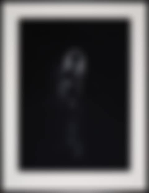 "Spinster Series VIII" (preview)