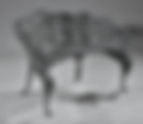 American "Laurel" Pattern Cast Iron Bench (preview)