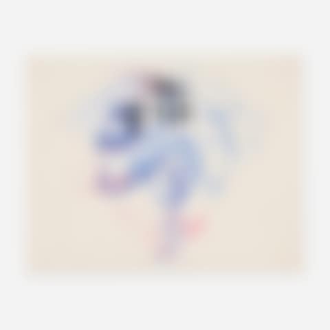 Untitled (Party Ball Stray) (preview)
