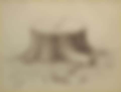 The Works of Alexander (preview)