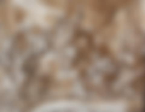 Allegory of the Christian religion (preview)