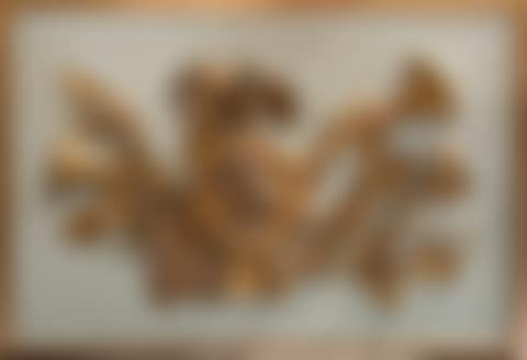 Pair of trophies (preview)