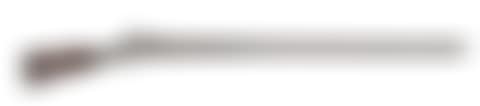 Flintlock shotgun (preview)