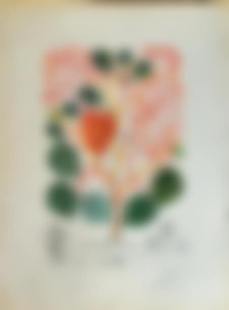 Begonia; Passionflower, from the FlorDali Series (preview)