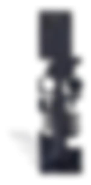 Totem (preview)