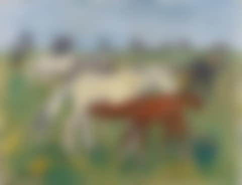 Mare and her foal, Camargue (preview)