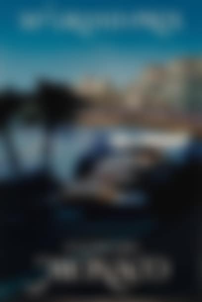 30th Monaco Grand Prix Poster (preview)