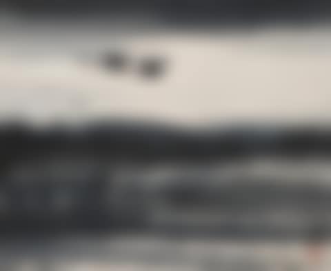 Flying Goose (preview)