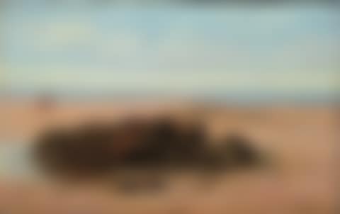 ON THE SHORE, CO ANTRIM (preview)