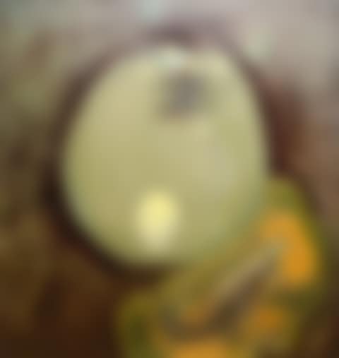 STILL LIFE (preview)