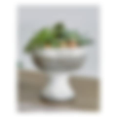 Footed Coupe (preview)