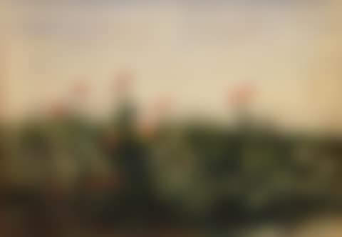 BANK OF WILD FLOWERS (preview)