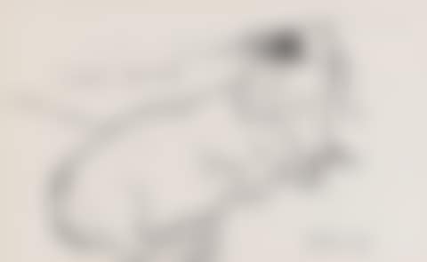 "Little Boodge" (preview)