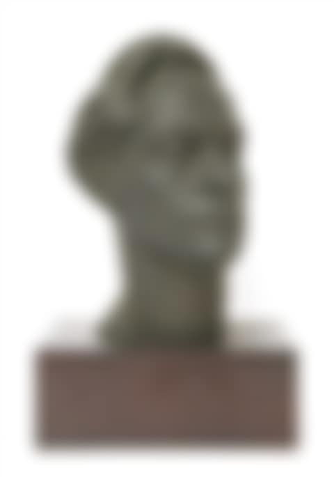 PORTRAIT OF A YOUNG MAN (preview)