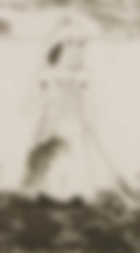 THE ENCHANTRESS IN HER GARDEN (preview)