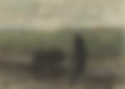 Returning from the fields (preview)
