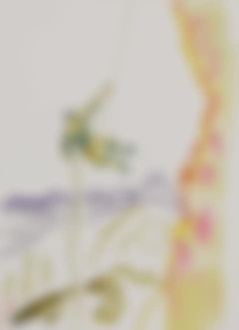 Abseiling (preview)