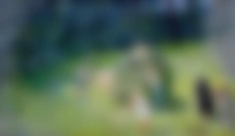 Haying (preview)