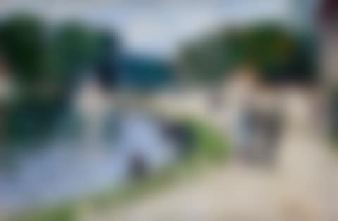 LIVELY BANK OF THE SEINE IN SAINT-MAMMÈS (preview)