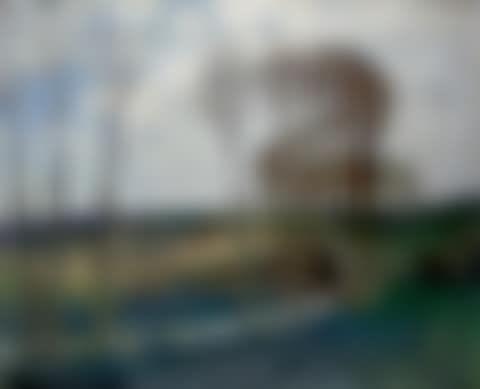 POPLAR TREES BY THE RIVER (preview)