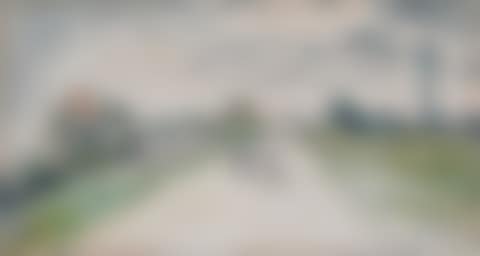 THE HERD OF COWS IN SAINT-PARIZE-LE-CHATEL (Nièvre) (preview)