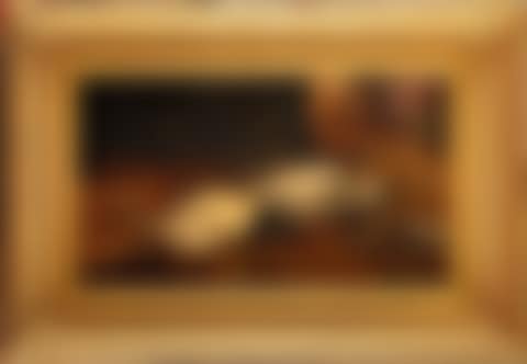 Nature morte aux oiseaux (preview)