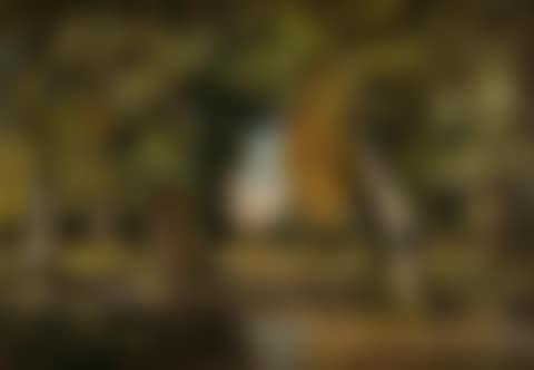 Bundle of bundles in the undergrowth (preview)
