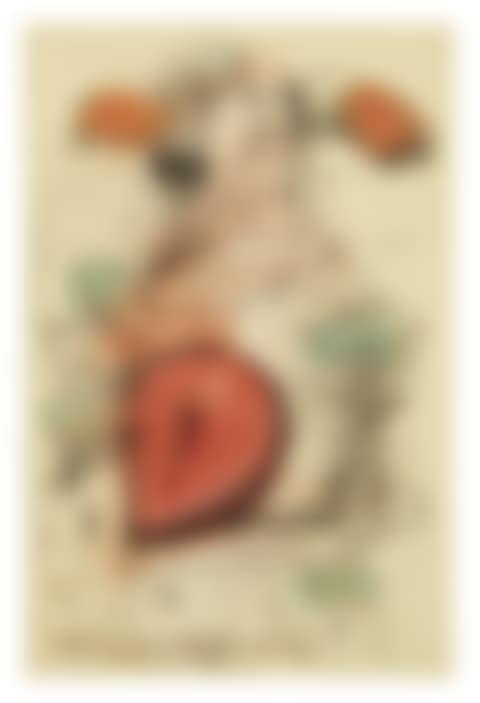 FAG ENDS AND COLOSSAL SLICED STRAWBERRY IN PARK SETTING (preview)
