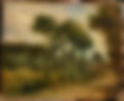 Path on the edge of an undergrowth (preview)