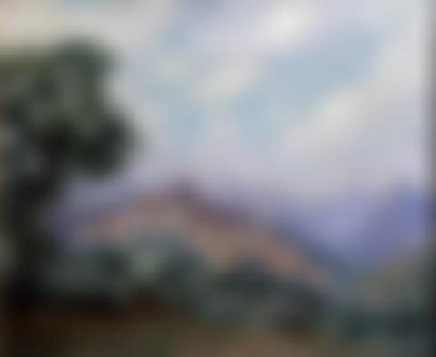 View of the village of Cagnes sur mer (preview)