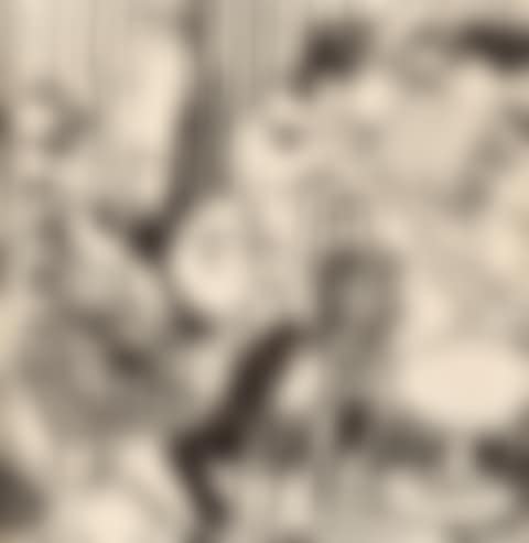 The bar. (preview)