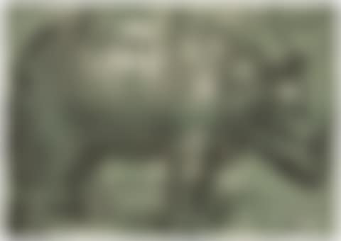 The rhinoceros. (preview)