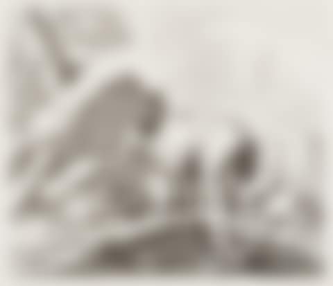 Old horse surrounded by sheep, goats etc. (preview)