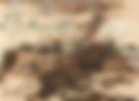 “Bobethania”. (preview)