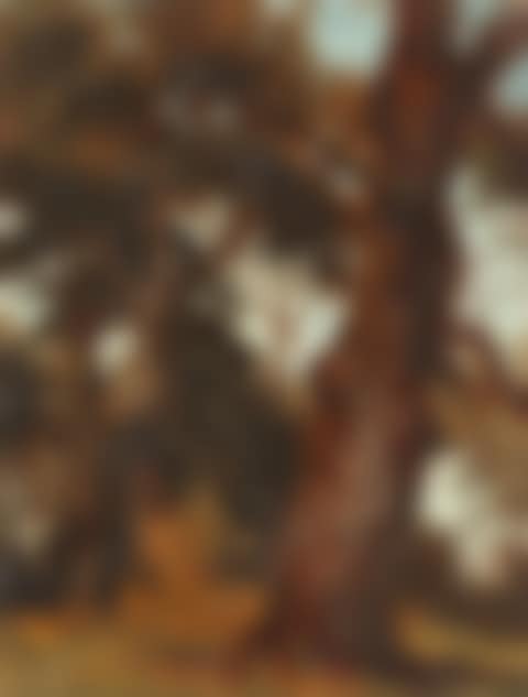 In the forest (preview)