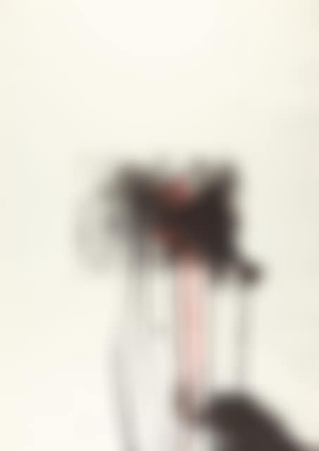 Episode of 36 sheets x The architecture of the Orgies Mysteries Theater. (preview)