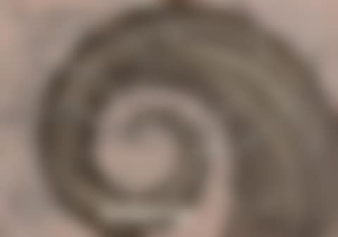 4 works x Untitled. (preview)