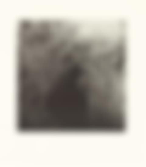 2 sheets x Birds - flowers. (preview)
