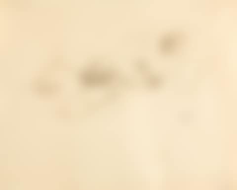 Female nude. (preview)