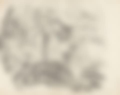 2 sheets x “Two capercaillie oxen each from …” - hunted wild boar. (preview)