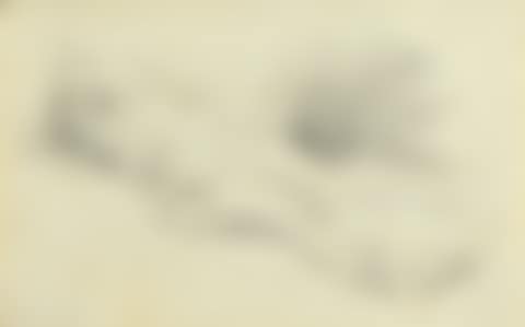 Lying man with tricorn hat. (preview)