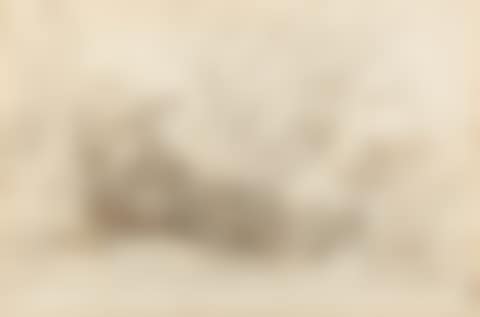 7 sheets x Various hunting scenes (preview)