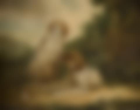 Two hunting dogs in a hilly landscape (preview)