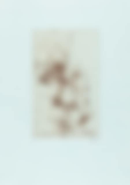 2 sheets x Self-portrait from x Hanno"s Death - Flowers. (preview)